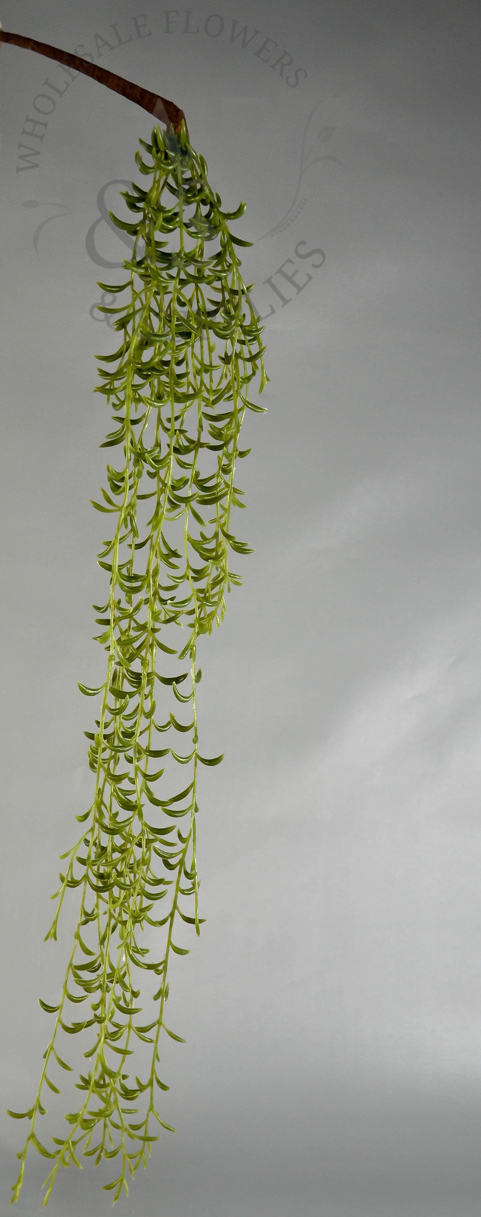 23" hg cresent succulent vine gr asf