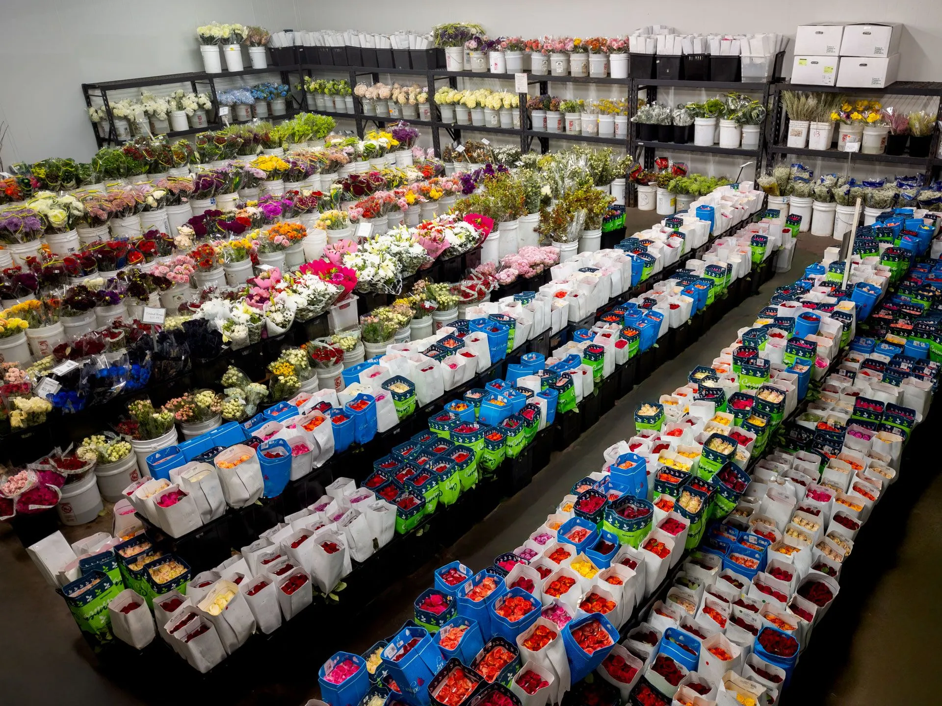 Wholesale Flowers and Supplies - Wholesale florist in San Diego