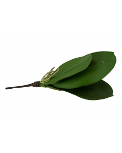 Phalaenopsis Plant Leaf Pick - 10 inch