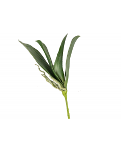 12" Artificial Phalaenopsis Leaf Plant Pick
