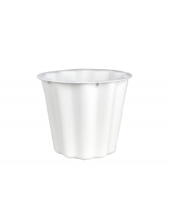 7.5" White Floral Container 