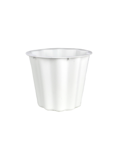5.5" White Floral Container