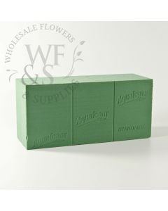 OASIS ADVANTAGE® Plus Floral Foam 6 pack 