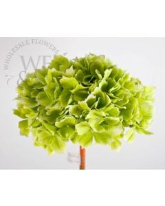 Silk Hydrangea Green
