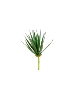 8.5" Aloe Pick