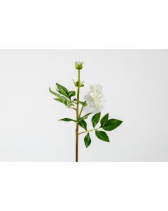 21" Cream Silk Dahlia Flower Stem 