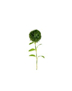 19.5" Green Dianthus Spray 