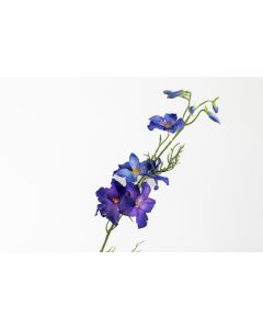 25" Violet Blue Delphinium Spray 