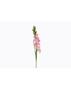 36.6" Pink Gladiolus Spray 
