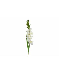 36.6" White Gladiolus Spray
