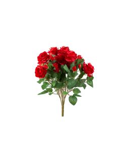 Red Rose Bush x5 w/ 15 Flowers