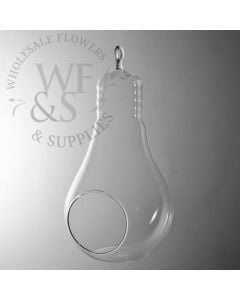 Hanging Glass Light Bulb Vase