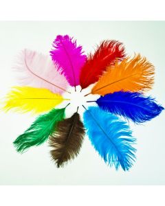 Colored Ostrich Feathers 5 stems