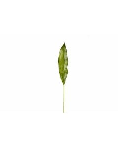 36" Aspidestra Leaf Spray GR
