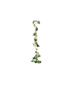 6' Stephanotis w ivy leaf garland