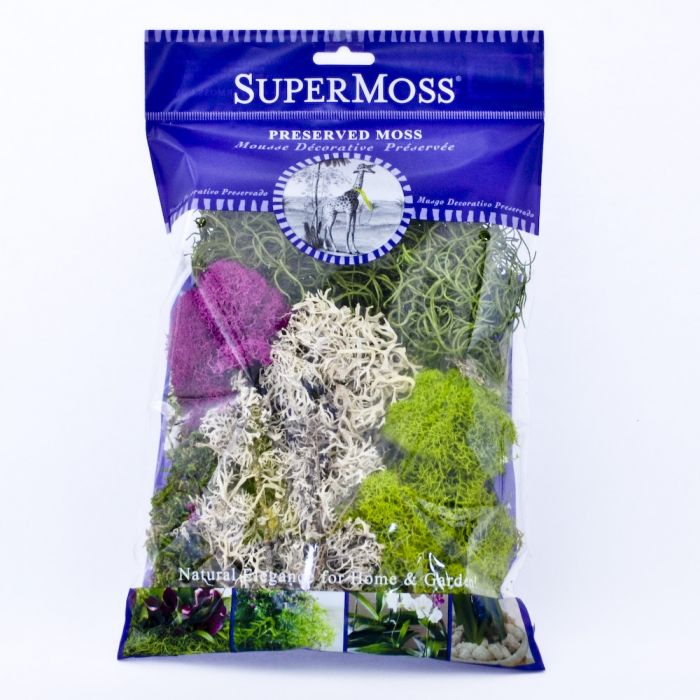 Dried Moss Assortment - Assorted Dried Moss