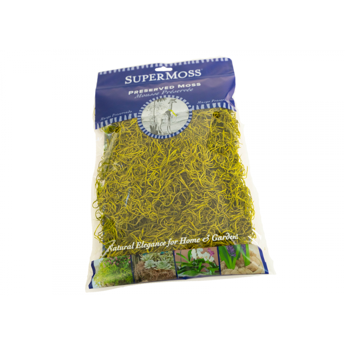 Spanish Moss, Basil, Preserved Floral Moss Wholesale prices