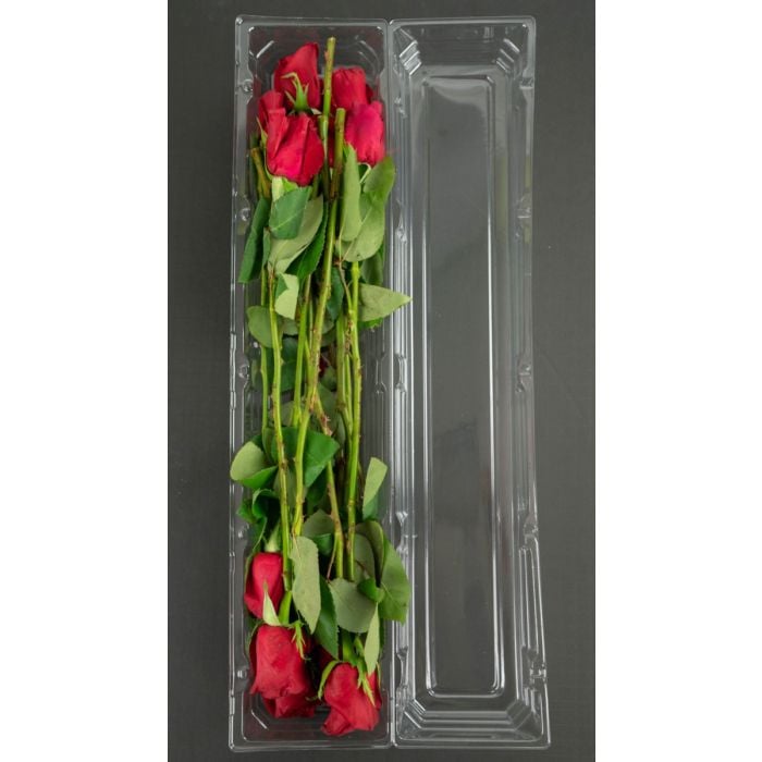 Corsage Boxes (Clear) 8 x 5 x 4 - Wholesale - Blooms By The Box