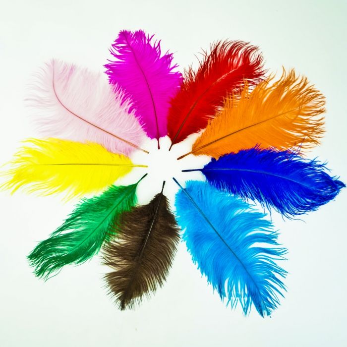 Ostrich Feathers, Colored Ostrich Feathers Wholesale - Mardi Gras ...