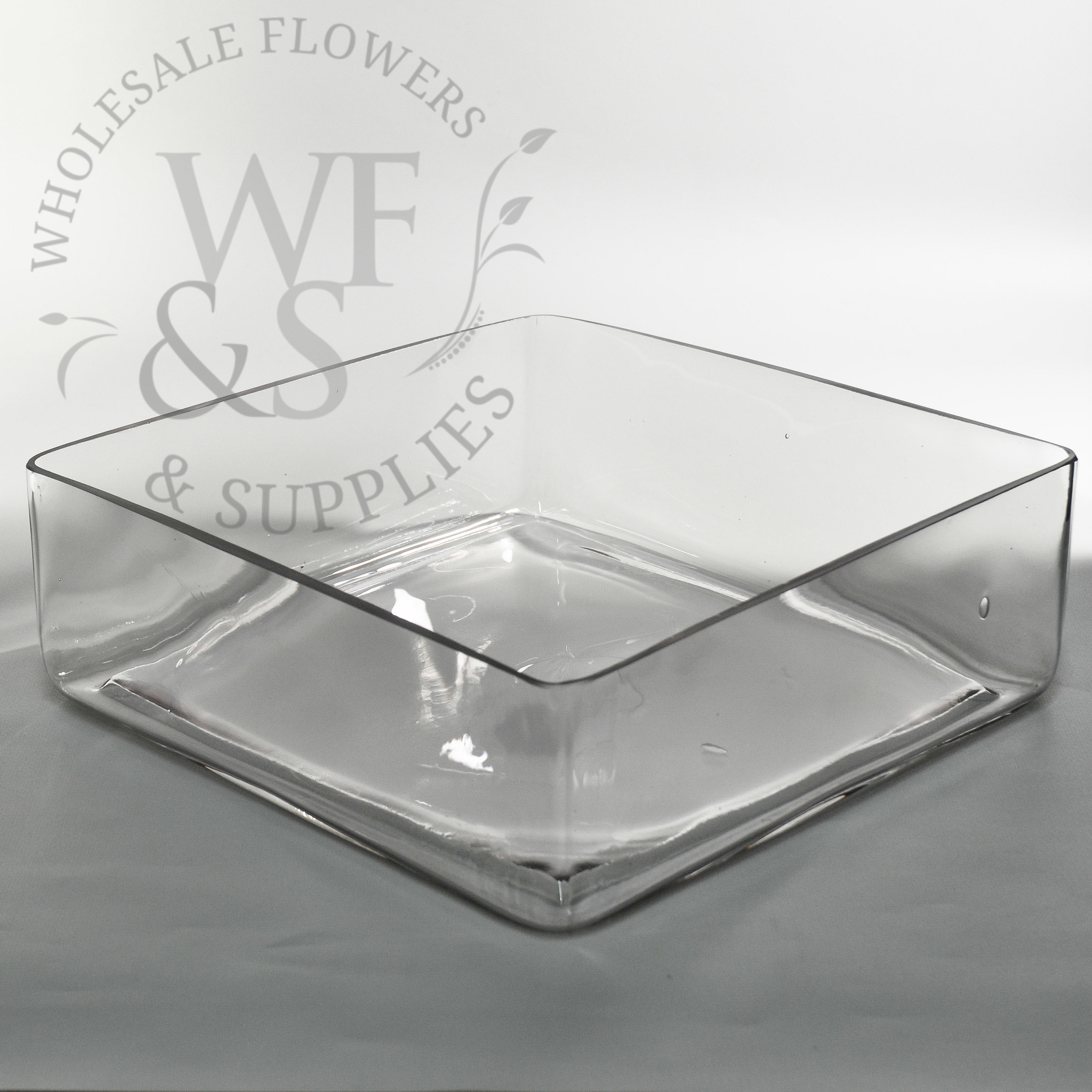 Low Glass Square Block Vases Dish Garden 4x12x12