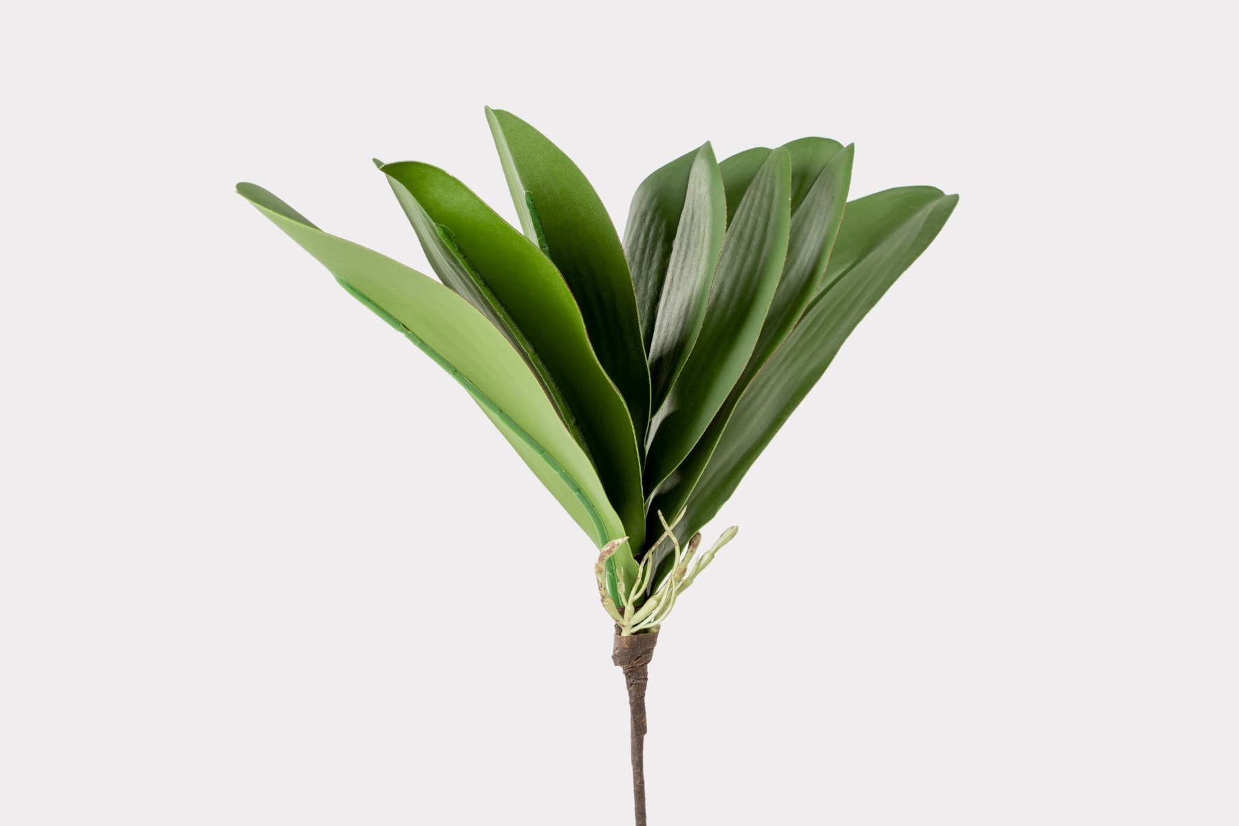 thumbnail image 2 of PATIKIL Faux Orchid Leaves 4.3 Inch, 2 Pack Small... 2 of 11