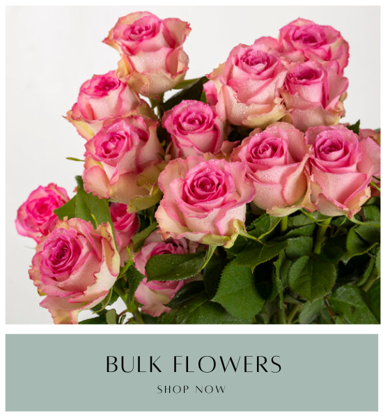 Bulk Flowers
